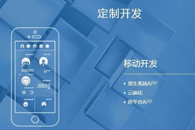 軟件定制開發(fā)與標(biāo)準(zhǔn)化軟件開發(fā) 企業(yè)視角下的選擇差異