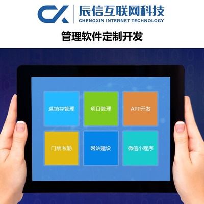 辰信互聯網科技 專業企業軟件開發，驅動數字化未來